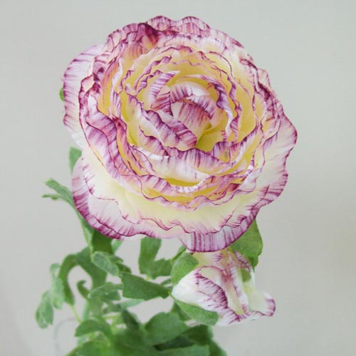 Artificial Ranunculus Flowers Cream and Dark Pink 40cm Artificial Flowers